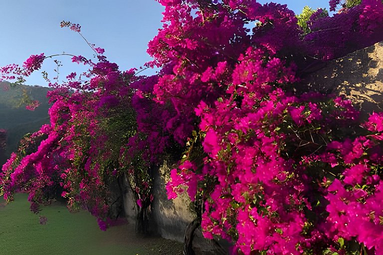 Casa 03 quartos no Sítio Solar di Stella